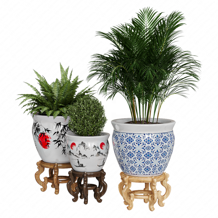 Растение Porcelain