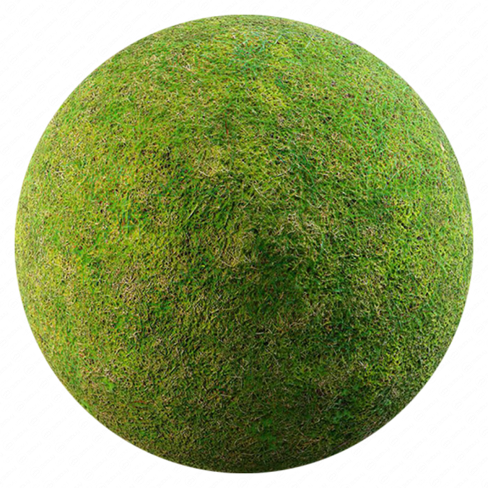 Текстура травы 005