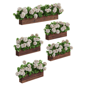 Растение гортензия в кашпо для фасада. 5 моделей