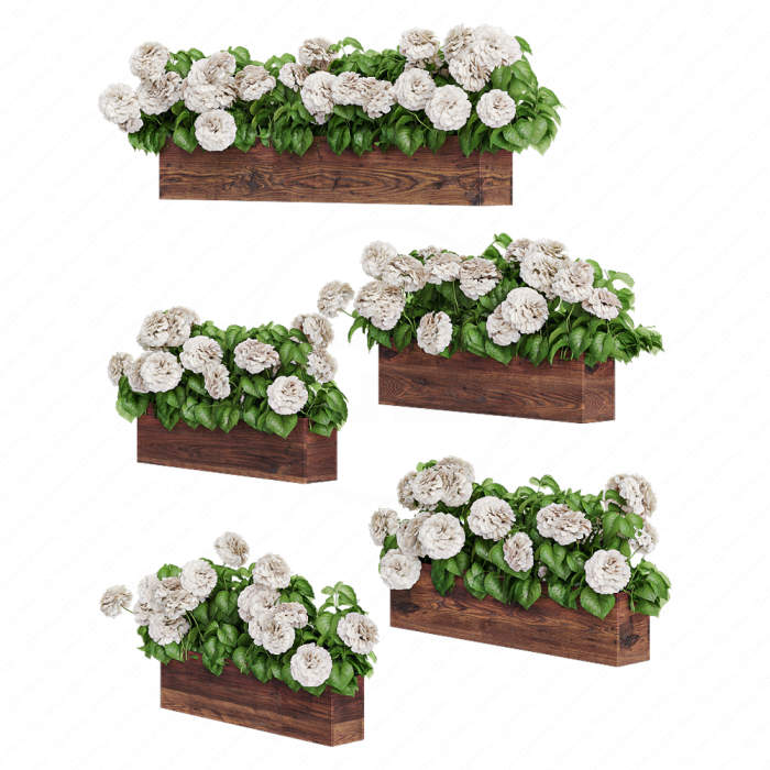 Растение гортензия в кашпо для фасада. 5 моделей