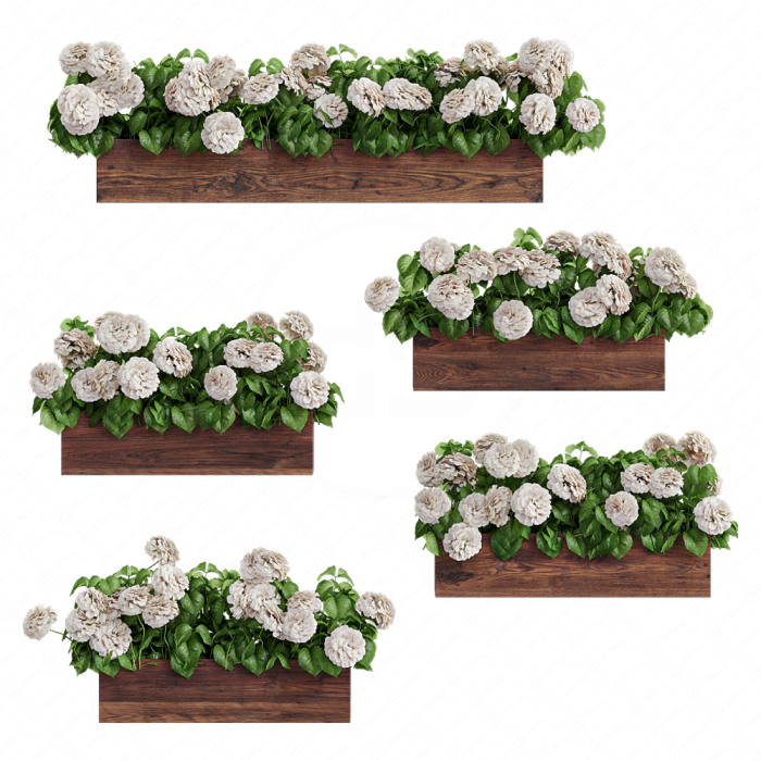 Растение гортензия в кашпо для фасада. 5 моделей