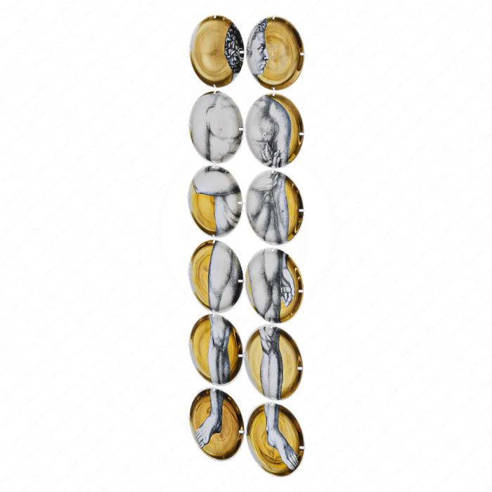 Настенный декор FORNASETTI