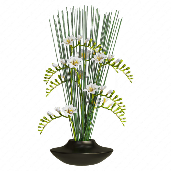Цветы Фрезия