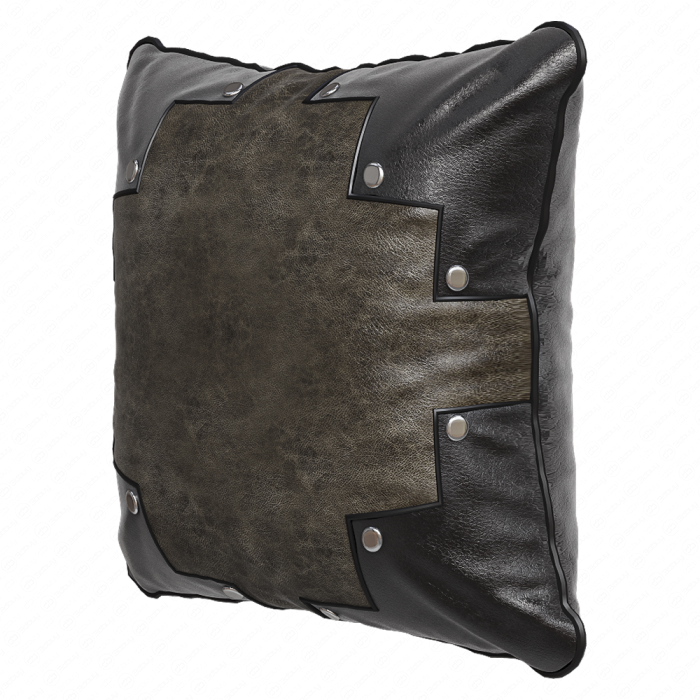 Decorative Pillow №64