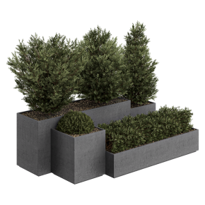 HQ Tree and bush garden box outdoor VOL 27