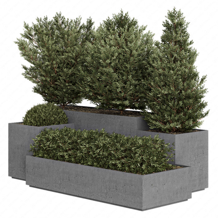 HQ Tree and bush garden box outdoor VOL 27