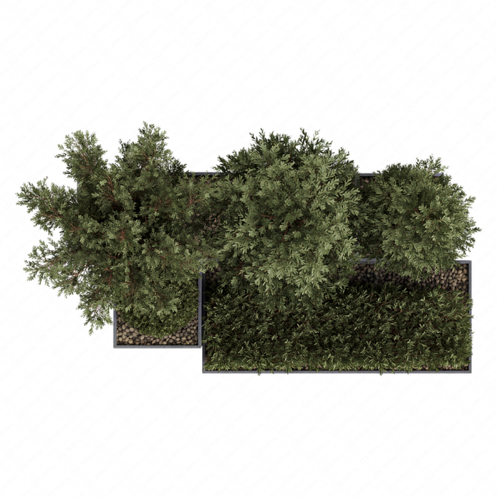 HQ Tree and bush garden box outdoor VOL 27