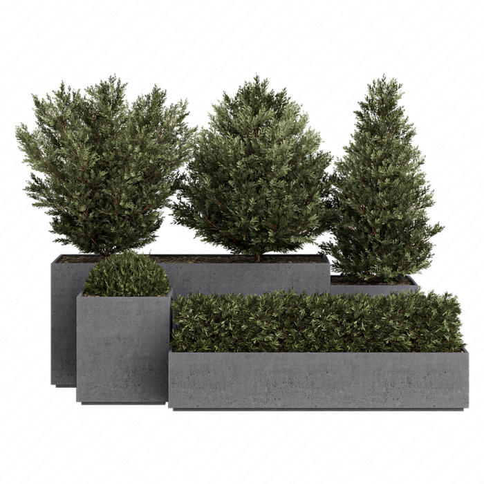 HQ Tree and bush garden box outdoor VOL 27