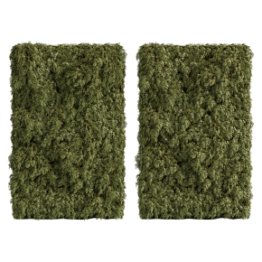 Растение Grassfall