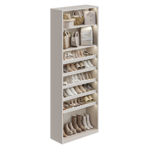 Shoe cabinet with fittings