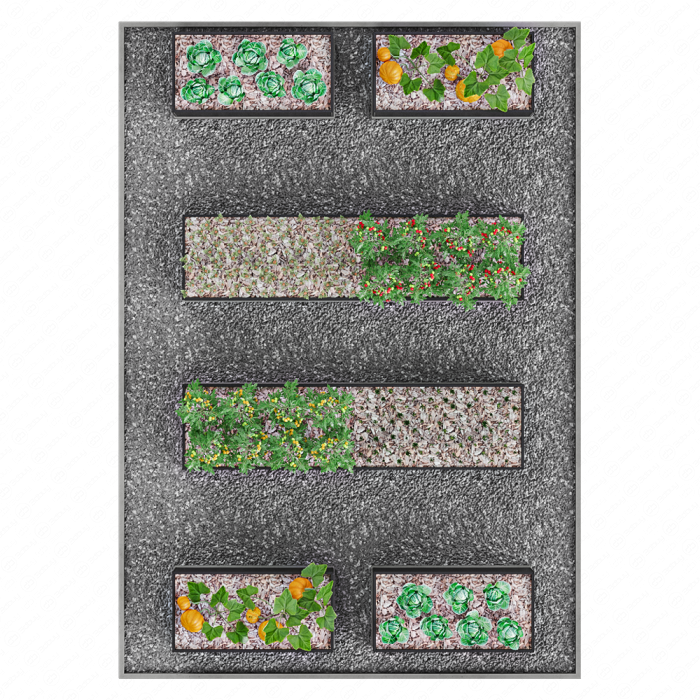 Кухонный огород