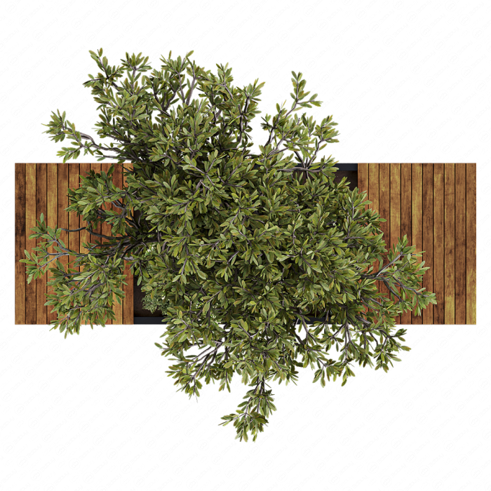 Urban Furniture / Architecture Bench with Plants- Set 23