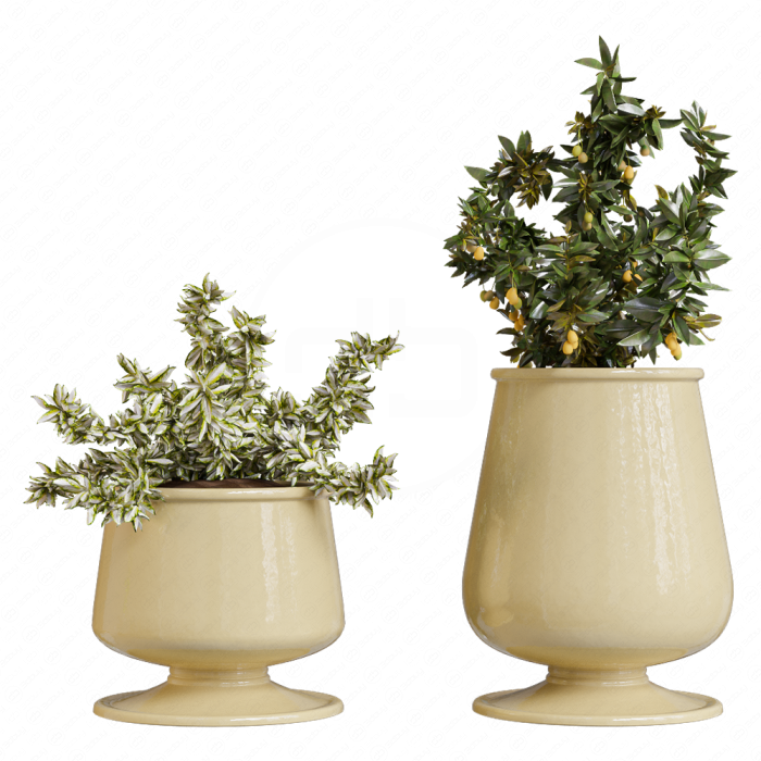 Растения декоративные от Pottery Barn
