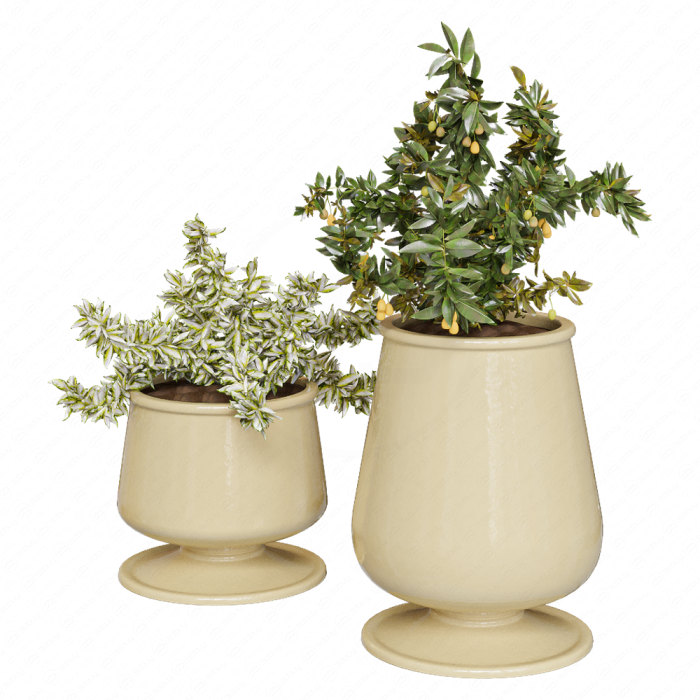 Растения декоративные от Pottery Barn