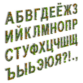 Русские буквы из суккулентов