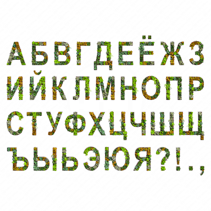 Русские буквы из суккулентов