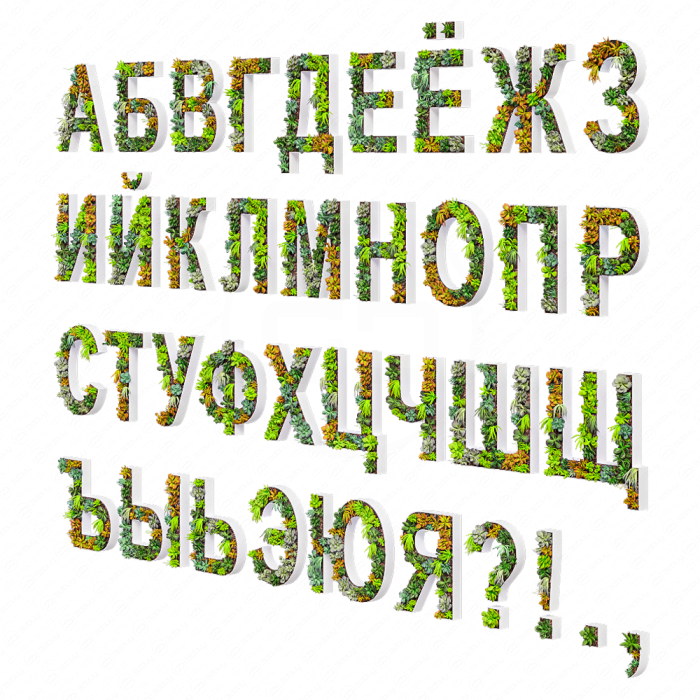 Русские буквы из суккулентов