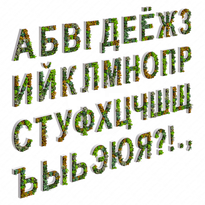 Русские буквы из суккулентов