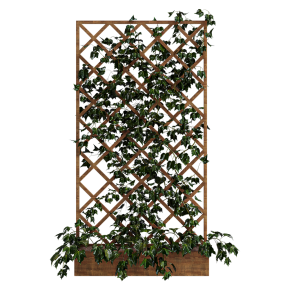 indoor vertical green wall garden 001