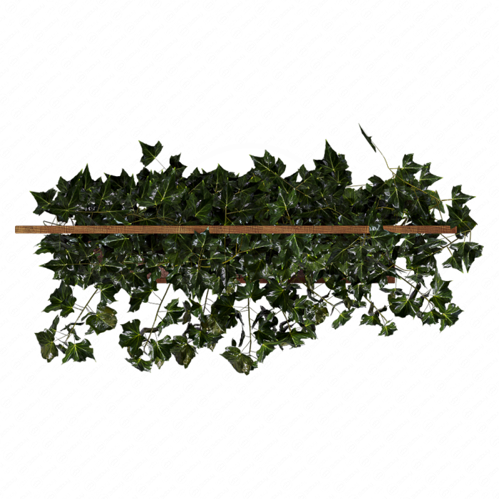 indoor vertical green wall garden 001