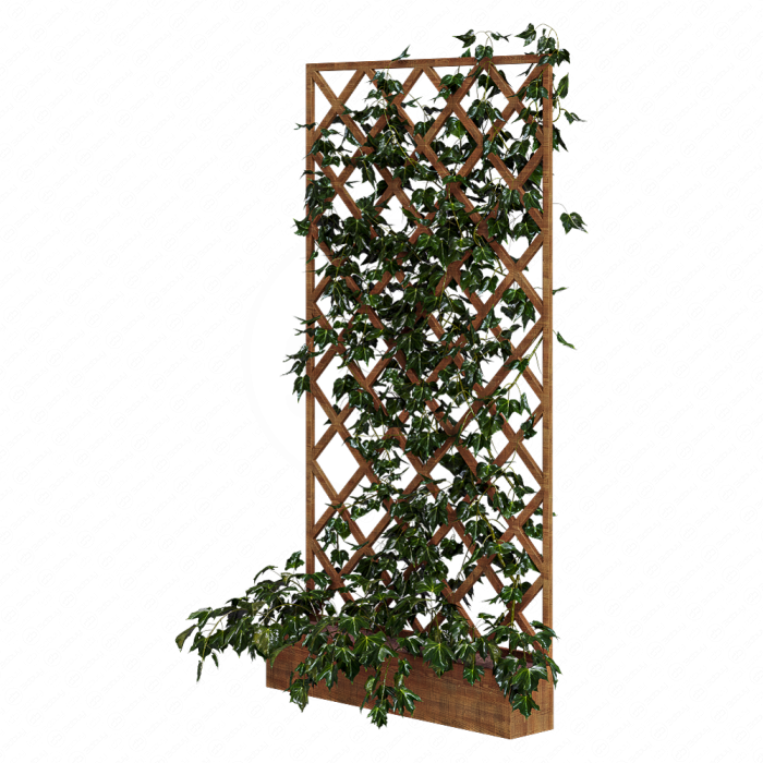 indoor vertical green wall garden 001