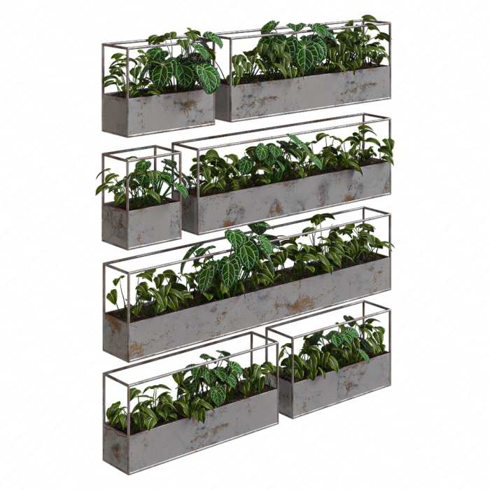 Растения уличные Rectangular