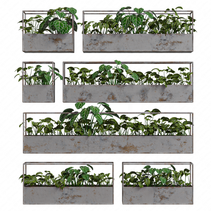 Растения уличные Rectangular