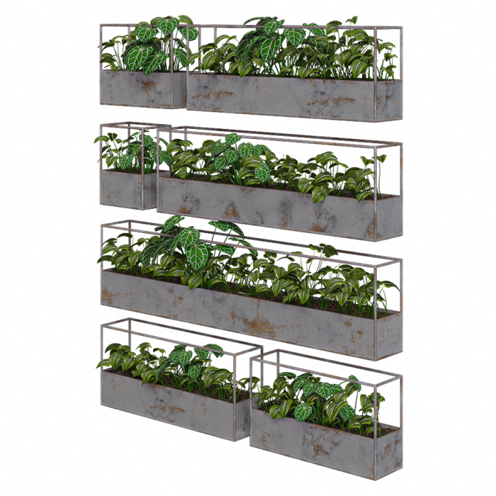 Растения уличные Rectangular