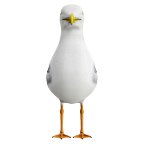 Чайка