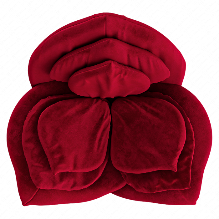 Кресло Rose от Edra