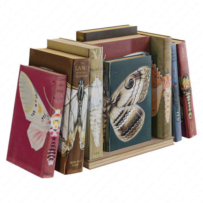Книжный сет с бабочками