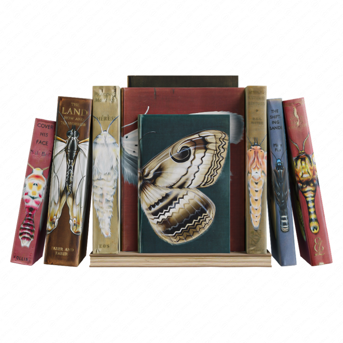 Книжный сет с бабочками