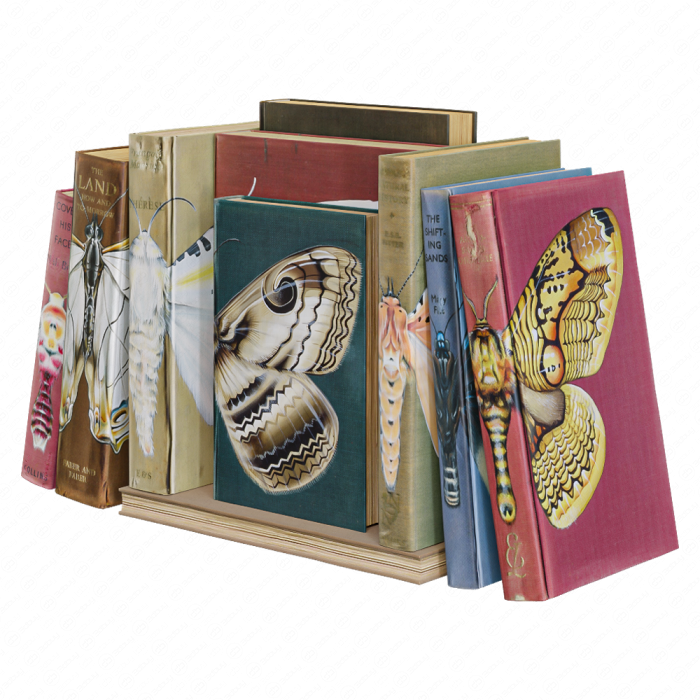 Книжный сет с бабочками