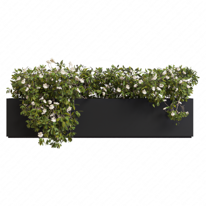 Бокс с цветами Planter Box White Flower