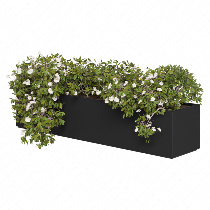 Бокс с цветами Planter Box White Flower