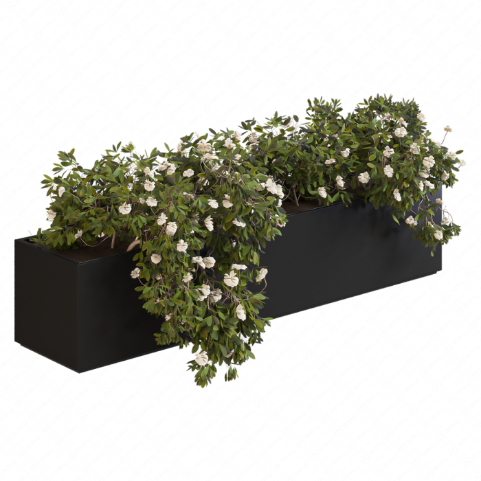 Бокс с цветами Planter Box White Flower