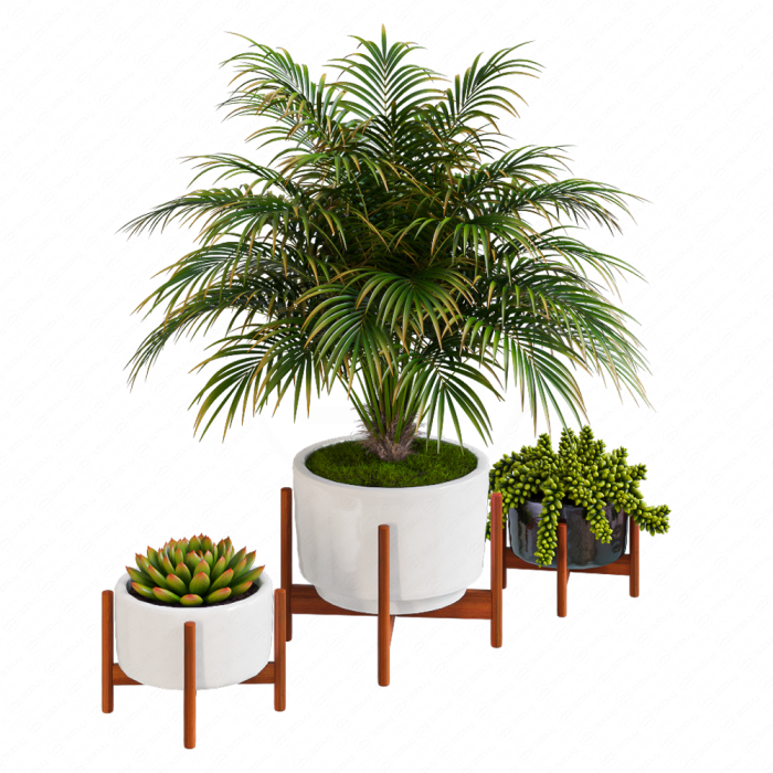 Пальма в горшке от  Modernica pots