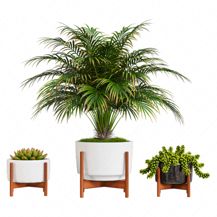 Пальма в горшке от  Modernica pots