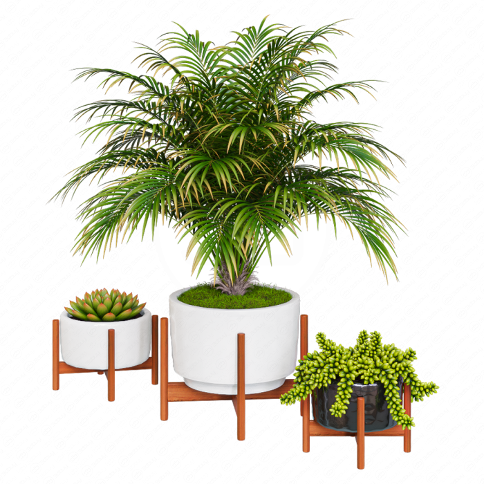 Пальма в горшке от  Modernica pots