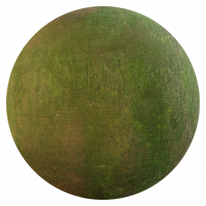 Текстура травы 003
