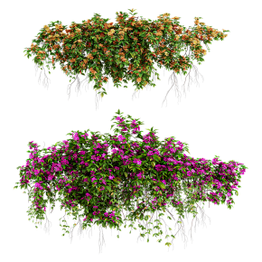 Подвесное растение