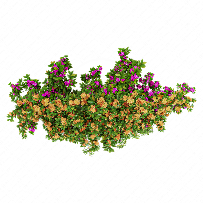 Подвесное растение