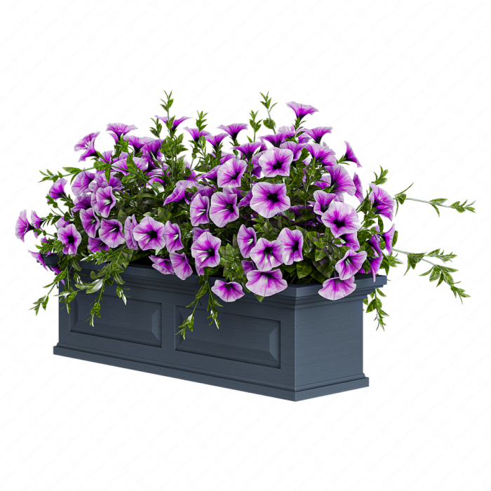 Петуния сиреневая