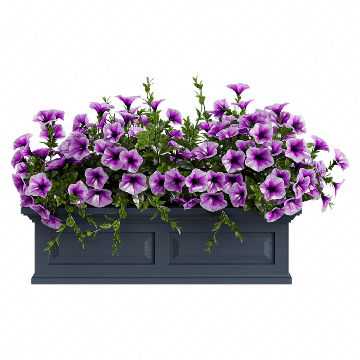 Петуния сиреневая