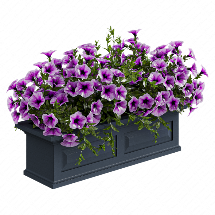 Петуния сиреневая