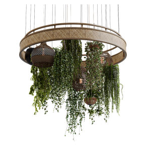 Plants with Wicker Pendants