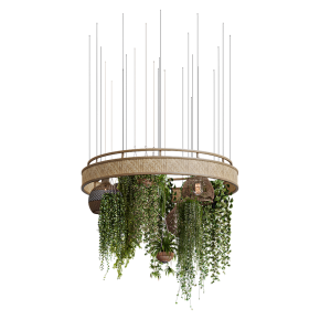 Plants with Wicker Pendants