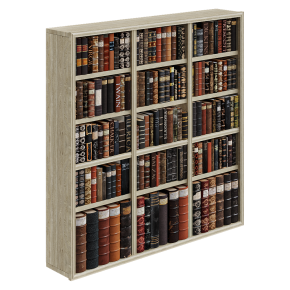 Набор для декора из книг на полках