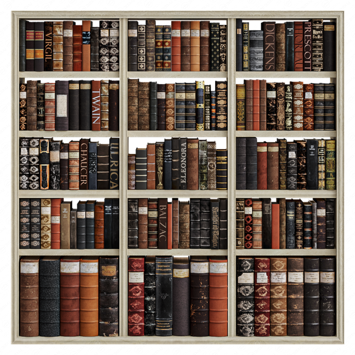 Набор для декора из книг на полках