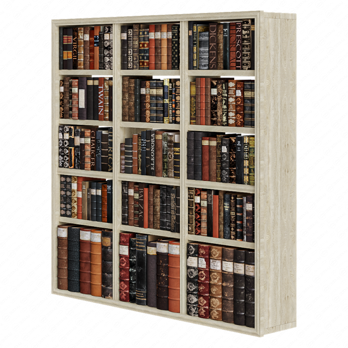 Набор для декора из книг на полках